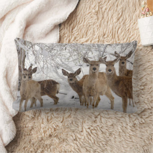 Mule Deer Wyoming Lendenkissen