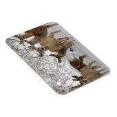 Mule Deer Wyoming Magnet (Rechte Seite)