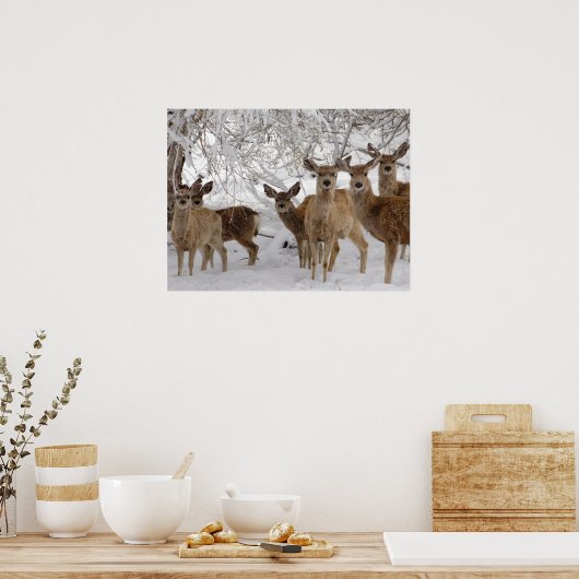 Mule Deer Wyoming Poster (Küche)