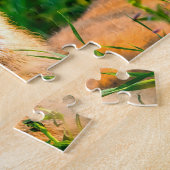 Mule Deer Wyoming. Puzzle (Seite)