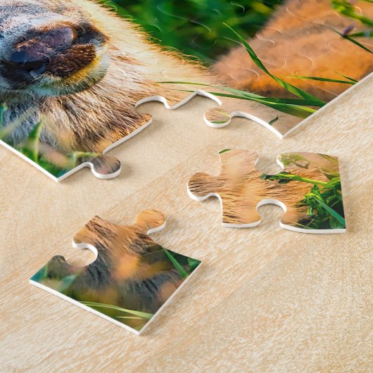 Mule Deer Wyoming Puzzle (Seite)