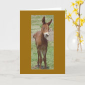 Mule Greeting Card Karte (Gelbe Blume)