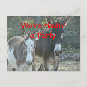 Mule Postcard-any-occacustomize Postkarte