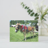 Mule Pulling Cart Postkarte (Stehend Vorderseite)