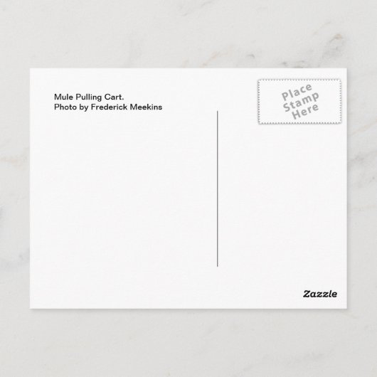 Mule Pulling Cart Postkarte (Rückseite)