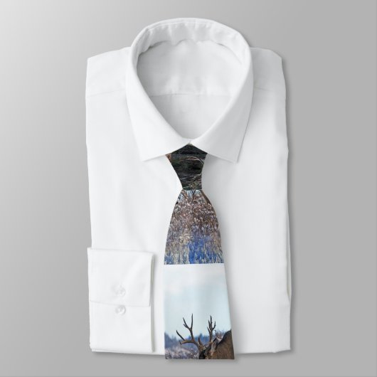 Mule Reer Bucks 2 Krawatte (Gebunden)