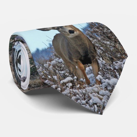 Mule Reer Bucks 2 Krawatte (Gerollt)