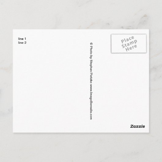 Mule Reh und Aurora borealis Postkarte (Rückseite)