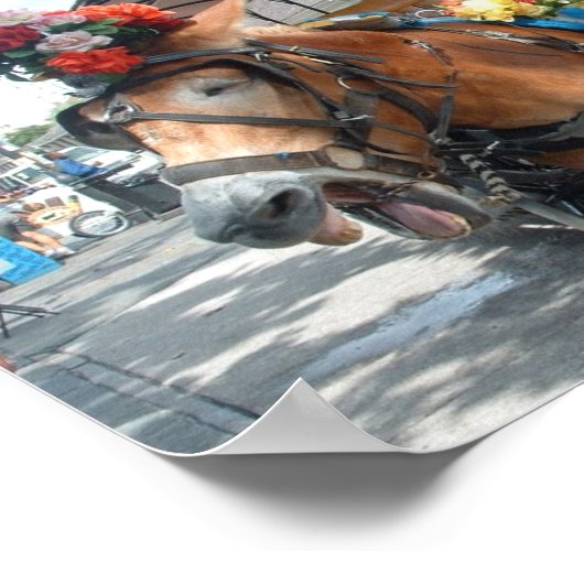 Mule Ride Poster (Ecke)