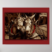 Mule Speak Poster (Vorne)