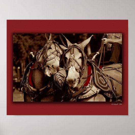 Mule Speak Poster (Vorne)