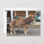 Mule Team, 1 Postkarte (Vorne/Hinten)