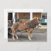 Mule Team Postkarte (Vorne/Hinten)