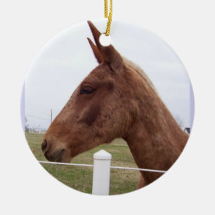 Mule Time Ornament