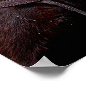 Mule Twosome Poster (Ecke)