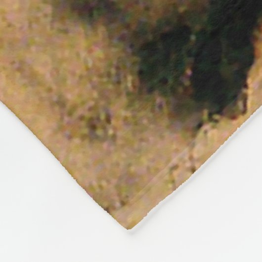 "Mule" Western Art von Will James Fleecedecke (Ecke)