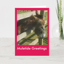 Muletide Grüße