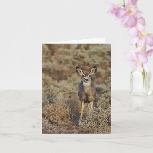 Muley in the Sage - 4" x 5.6" Notecard Karte (Orchidee)