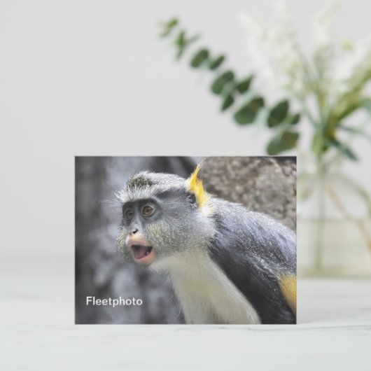 Muli-farbiger Wolf-Affe Postkarte (Stehend Vorderseite)