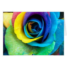 Mulit-farbige Rose von SnapDaddy, kann personalisi