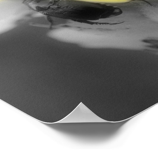 Mullein-Blume mit Käfer-Teilfarbe Poster (Ecke)