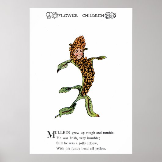 Mullein Poster (Vorne)