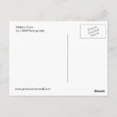 Mullion Cove Postkarte (Rückseite)