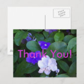 Multi Petunias Vielen Dank Postkarte (Vorne/Hinten)