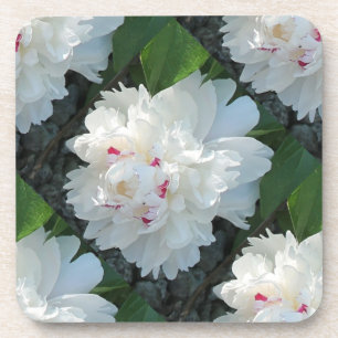 Multi Precious Peony Coasters Cork Back Set of 6 Getränkeuntersetzer