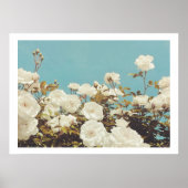 Multi Roses Floral Garden Photo Art Print Poster (Vorne)