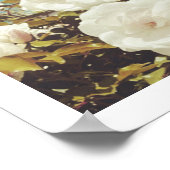 Multi Roses Floral Garden Photo Art Print Poster (Ecke)