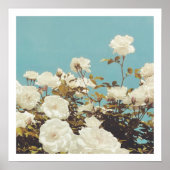 Multi Roses Floral Garden Photo Art Print Poster (Vorne)