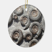 Multi versteinerte Ammoniten vom niedrigeren Lias Keramikornament (Links)