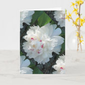 Multi-Wertvoll Peony Gruß- und/oder Note-Card Karte (Gelbe Blume)