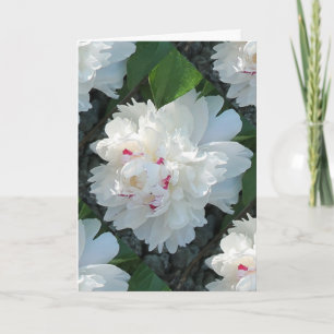 Multi-Wertvoll Peony Gruß- und/oder Note-Card Karte