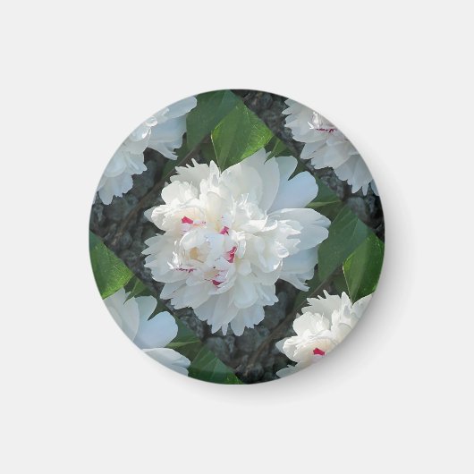 Multi Wertvoll Peony Magnet (Vorne)