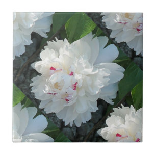 Multi Wertvoll Peony Tile Fliese