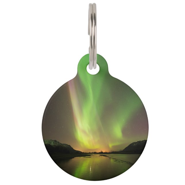 Multicolor Aurora Haustiermarke (Rückseite)