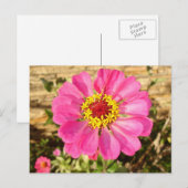 Multicolor Bloom Postkarte (Vorne/Hinten)