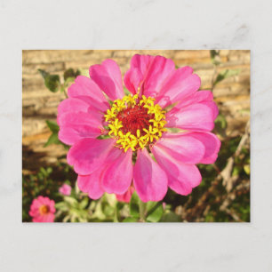 Multicolor Bloom Postkarte
