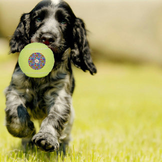 Multicolor-Herz-Augapfel-Collage farbig Tennisbälle