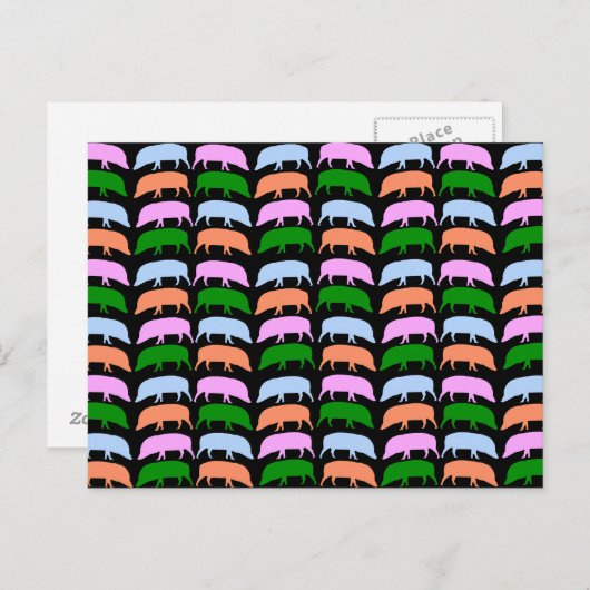 Multicolor Hogs Postcard Postkarte (Vorne/Hinten)