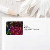 Multicolor Mix Avery-Label (Insitu)
