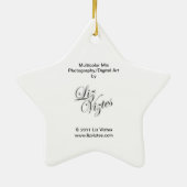 Multicolor Mix Star Ornament (Hinten)