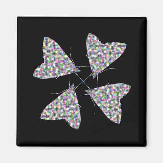 Multicolor Moth Art Magnet (Vorne)