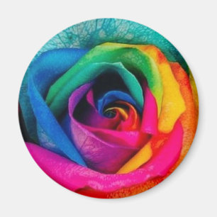 Multicolor-Rose Magnet