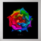 Multicolor-Rose Poster (Vorne)