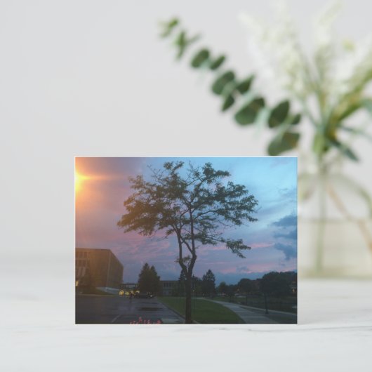 Multicolor Sunset Postkarte (Stehend Vorderseite)