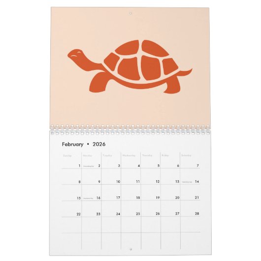 Multicolor Turtle Kalender (Feb 2026)