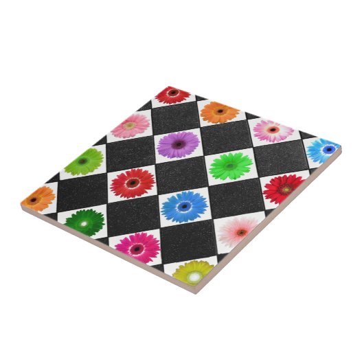 Multicolored Daisy Fliese (Seite)